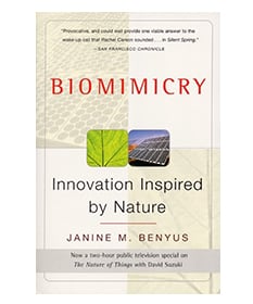 8-biomimicry