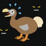 dodo in danger