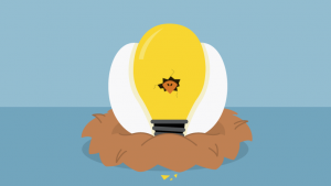 voorbeelden van sociale innovatie - de couveuse