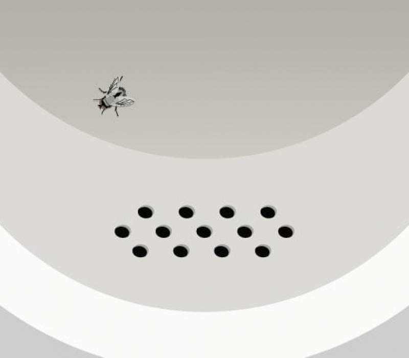 Nudging Archives - HatRabbits